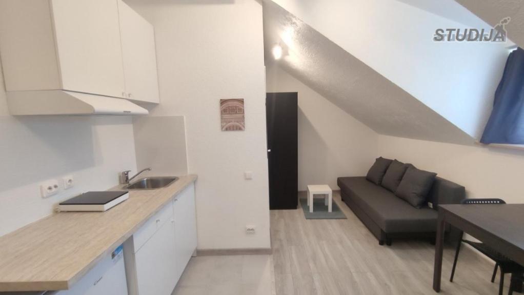 Miko Apartamentai Каунас Экстерьер фото